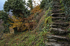 Ahrtal (5v9) - Bernhard Saalfeld - Lichtbildkunst